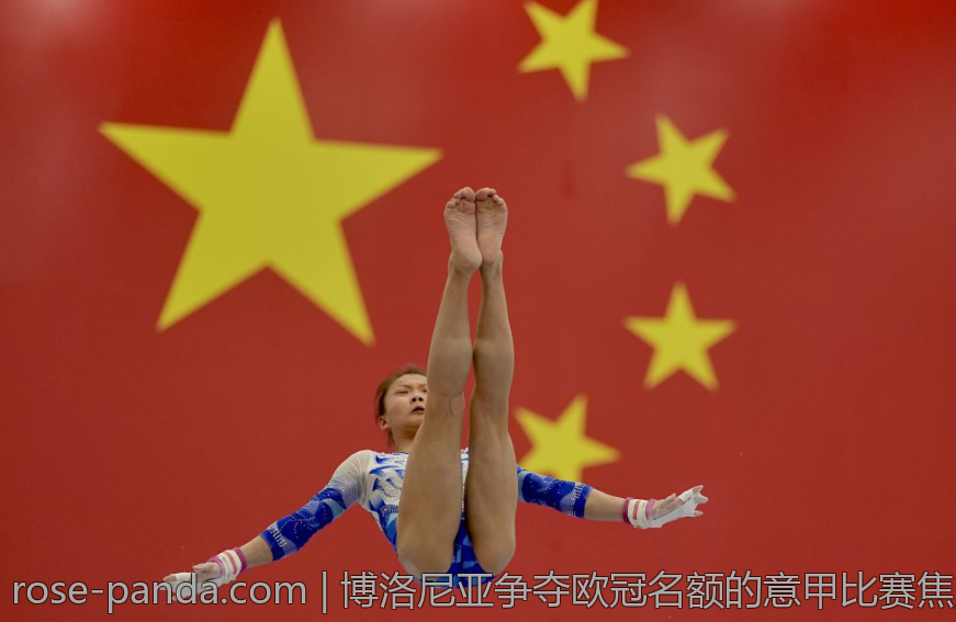 博洛尼亚争夺欧冠名额的意甲比赛焦点解析