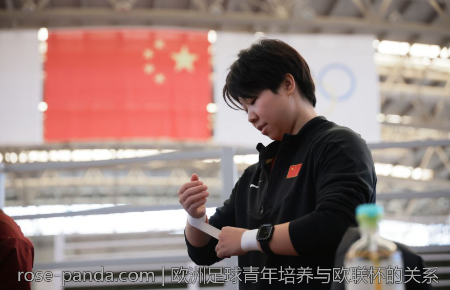 欧洲足球青年培养与欧联杯的关系