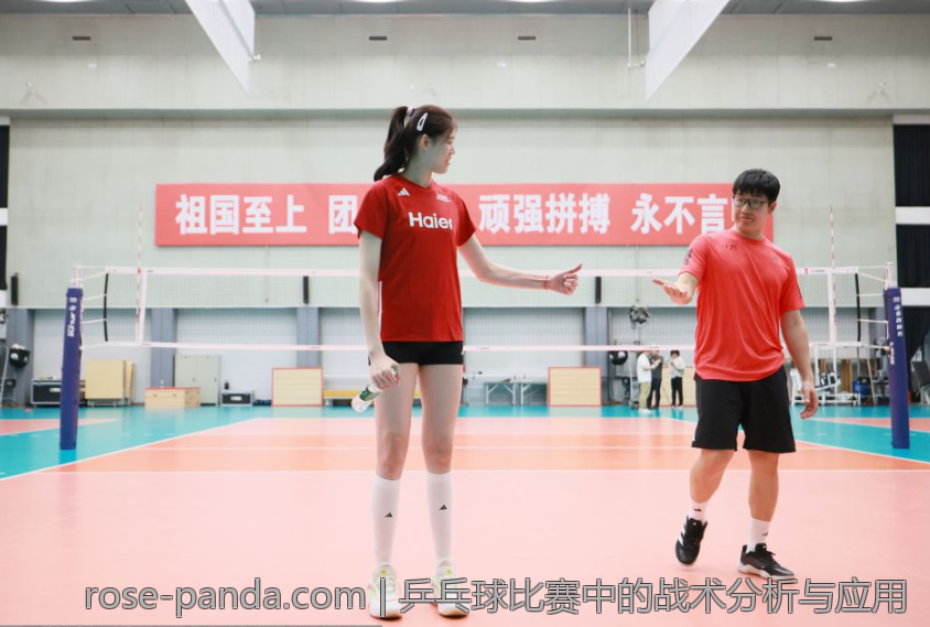 乒乓球比赛中的战术分析与应用