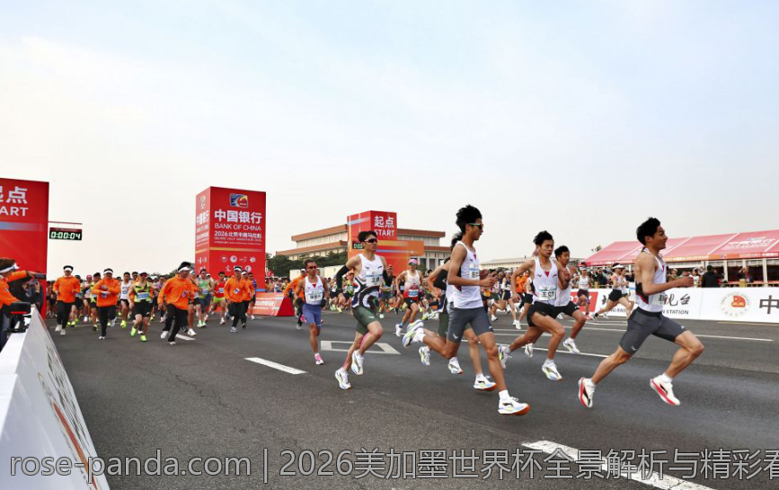 2026美加墨世界杯全景解析与精彩看点